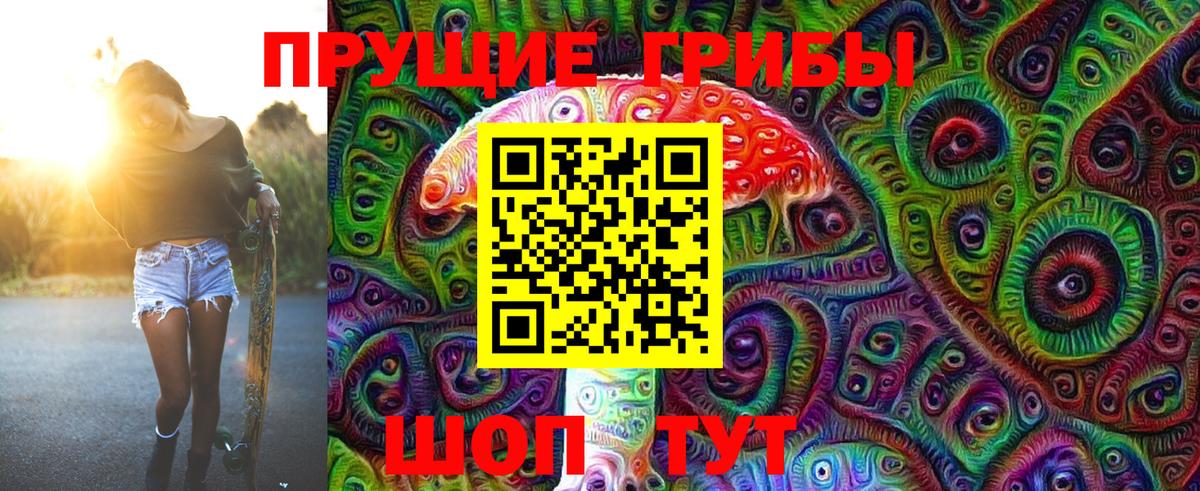 Псилоцибиновые грибы Psilocybe Карачаевск