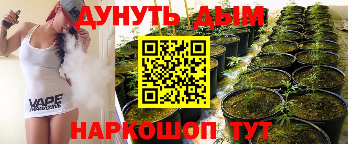 МАРИХУАНА AK-47  Каннабис Amnesia  Вход с VPN  Карачаевск  МАРИХУАНА Bruce Banner 